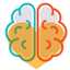 Neuropsiedu